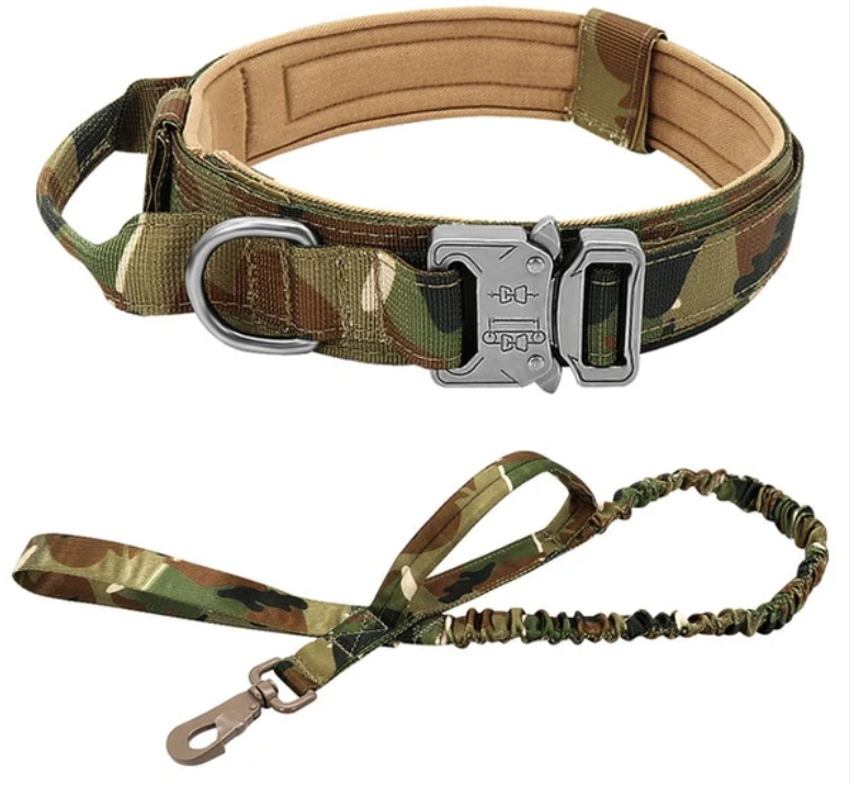 Tactical Dog Collar-9